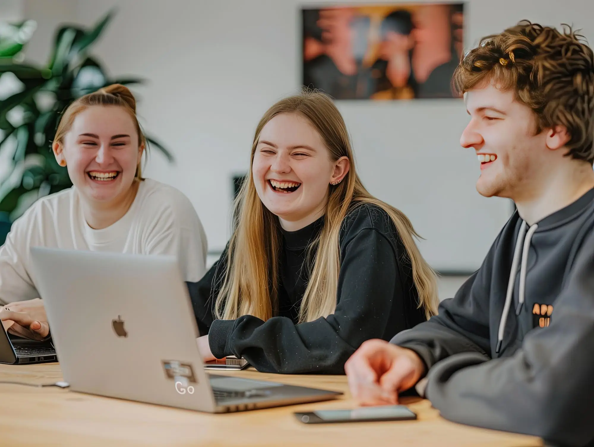 software development team